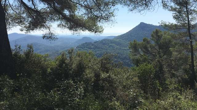 BAGNOLS en FORET-sur les hauteurs01