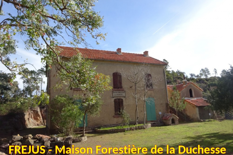 FREJUS-Maison Forestiere de la Duchese-1