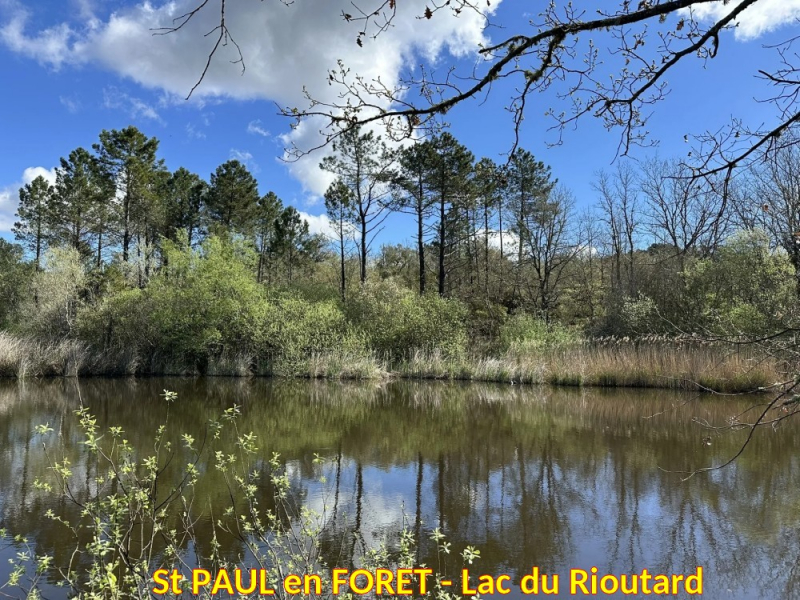St PAUL en FORET-Lac du Rioutard-01