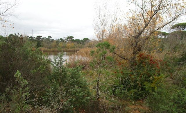 LE MUY Ruisseau des Flacs 01