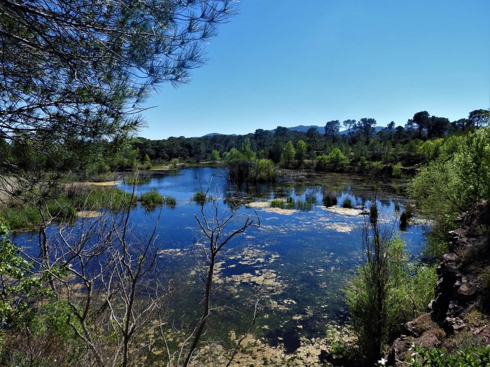 ROQUEBRUNE Etang des Flacs 01