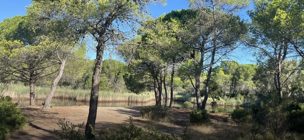 ROQUEBRUNE La Bouverie 2