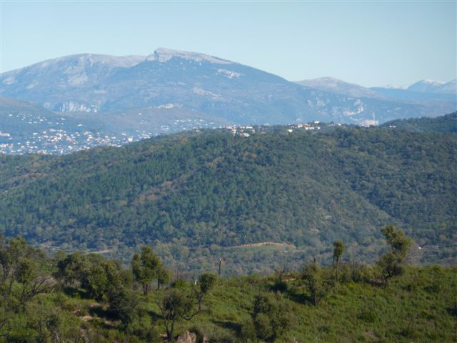 BAGNOLS-Paysage