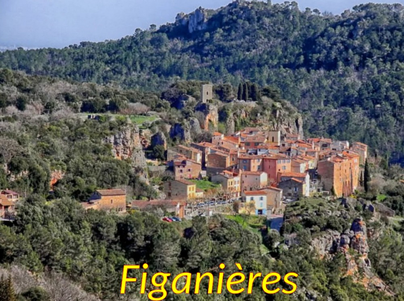 FIGANIERES-Vue du village-01
