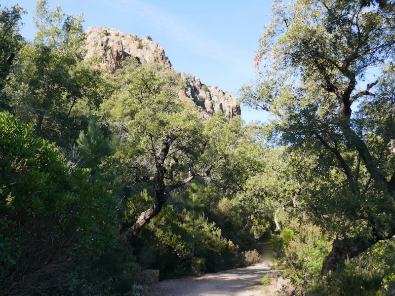 FREJUS-Esterel-Sur la piste du Porfait-1