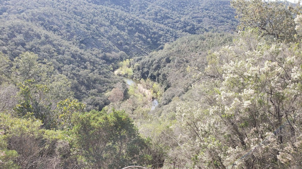 LES_ARCS-Foret_des_Apies-MichBoul