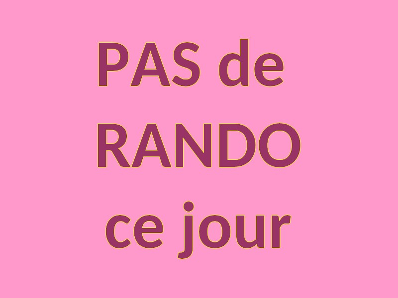 PAS DE RANDO-Fond Rose pale
