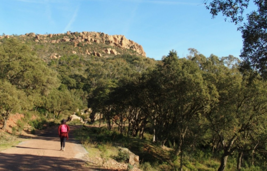 St RAPHAEL-Sentier de randonnee du Roussivau-1